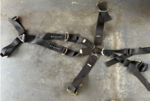 6 point harness