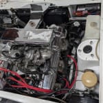 PXL 20251120 024641694