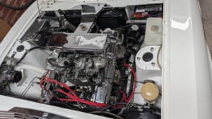 PXL 20251120 024641694